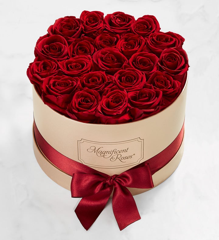 Magnificent Roses® Preserved Cabernet Roses | 1800flowers.com