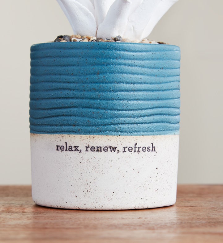 Relax, Renew, Refresh Diffuser and Oils