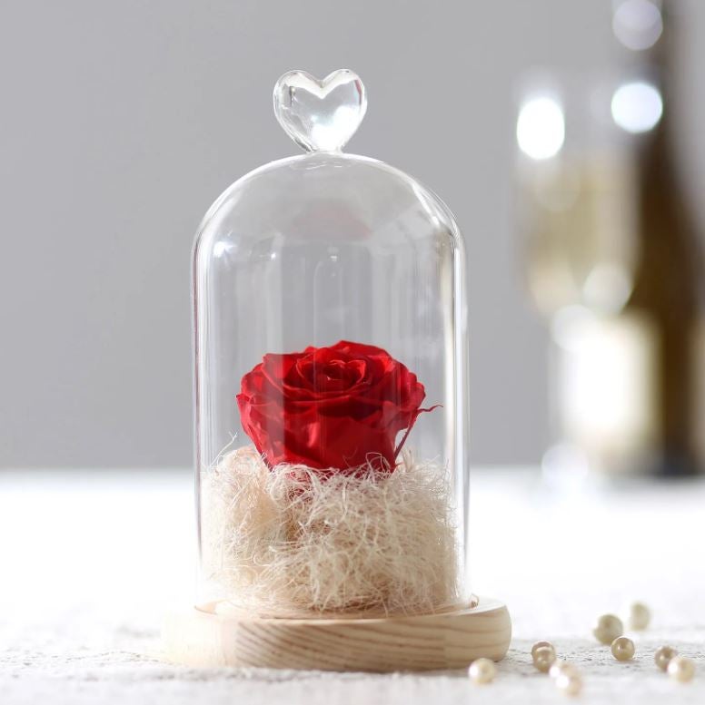 Hot Red Forever Rose