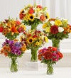 Florist's Choice For Fall