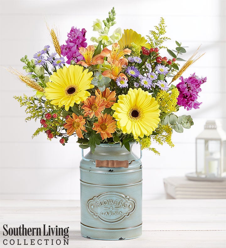 Autumn Delight™ by Southern Living®