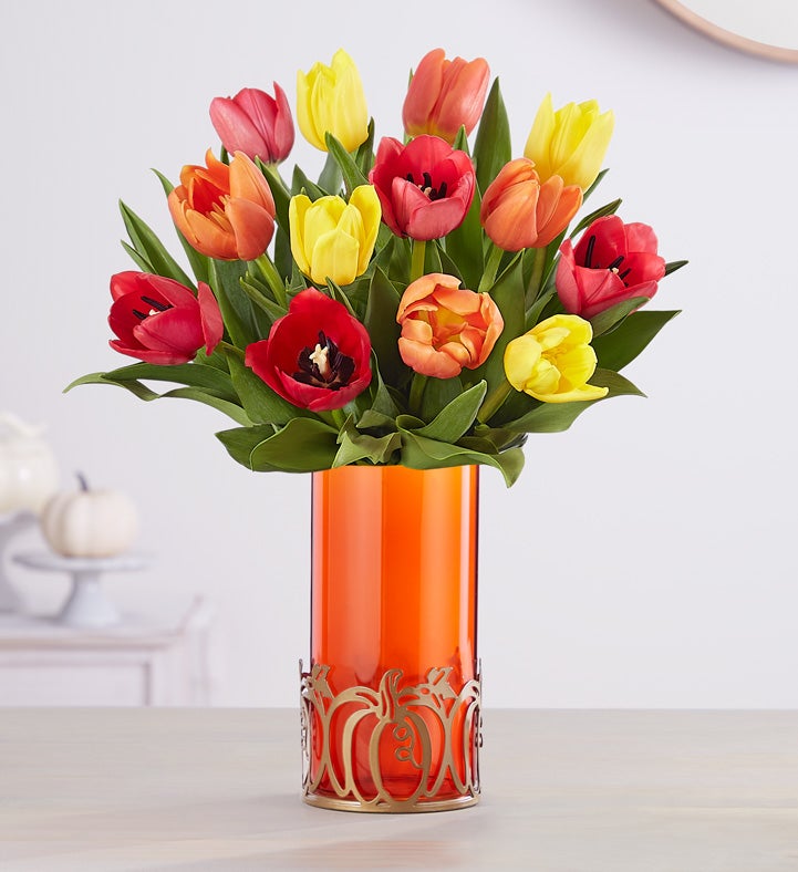 Harvest Spice™ Tulips