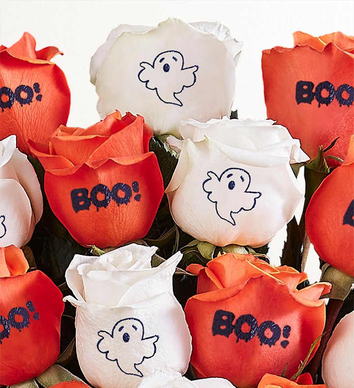 Boo Blooms Conversation Roses™