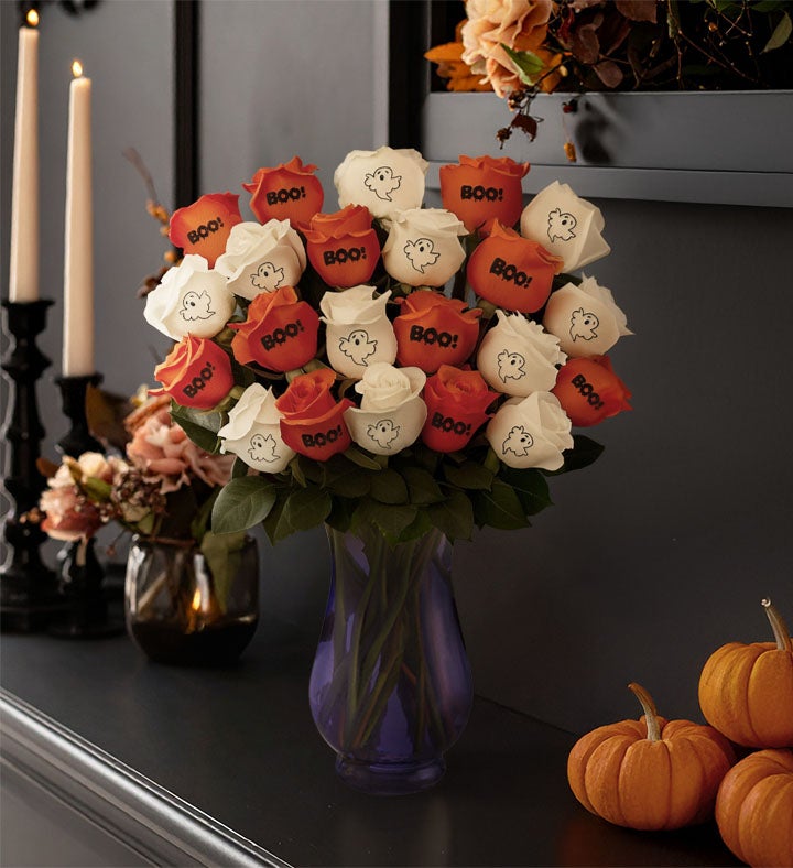 Boo Blooms Conversation™ Roses
