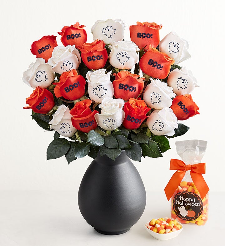 Boo Blooms Conversation™ Roses