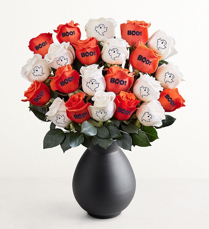 Boo Blooms Conversation™ Roses