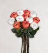 Boo Blooms Conversation™ Roses
