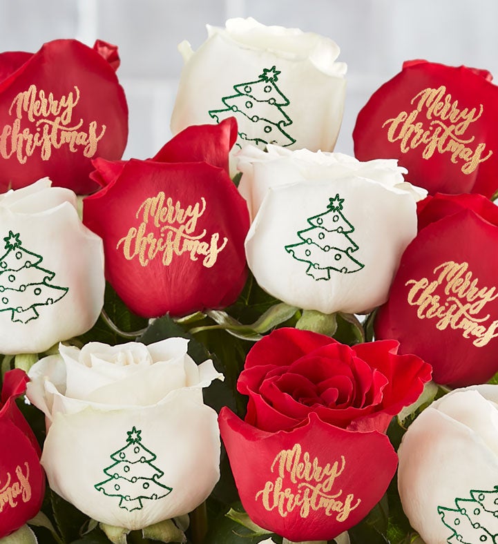 Conversation Roses™ Merry Christmas