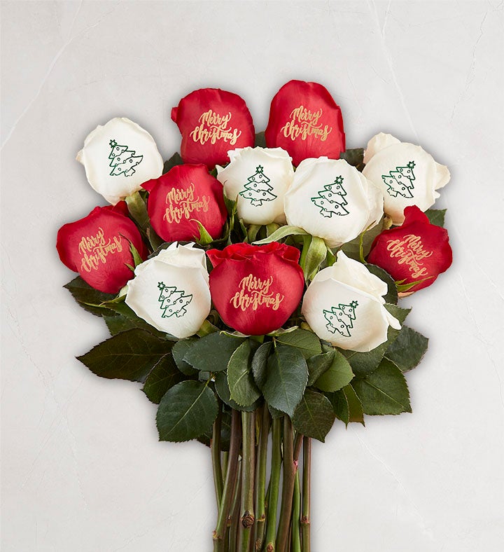 Conversation Roses™ Merry Christmas