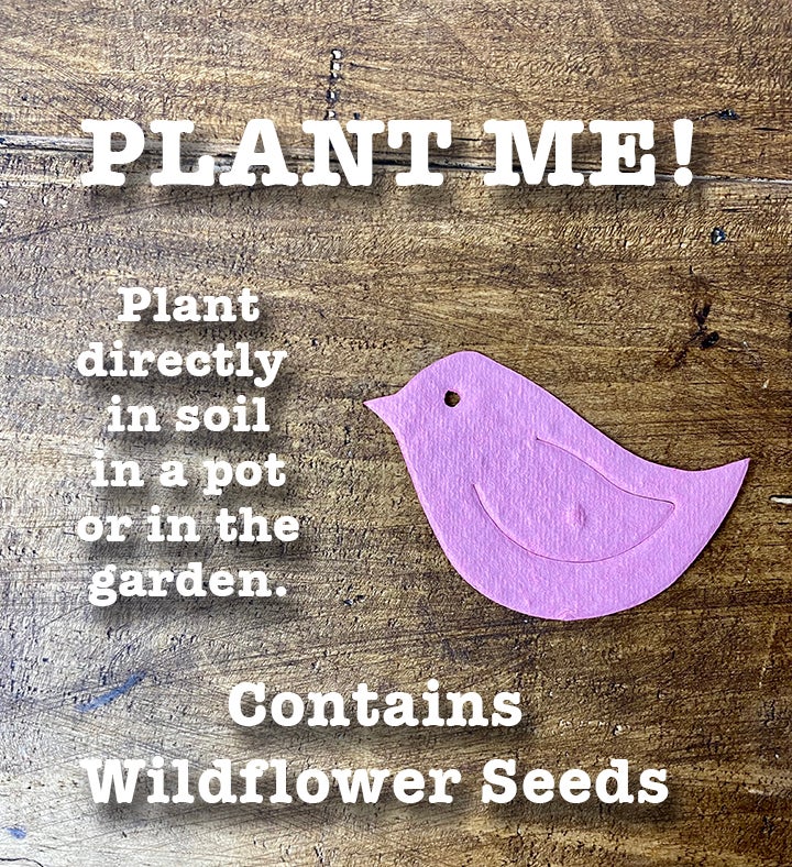 Bird Gift Box With Flower Seeds