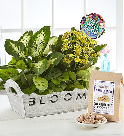 Laughter is The Best Medicine Get Well Soon Basket- get well soon gifts for  women, One Basket - City Market