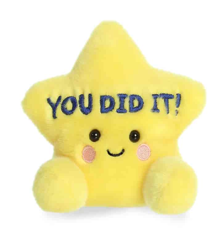 5" You Did It Star