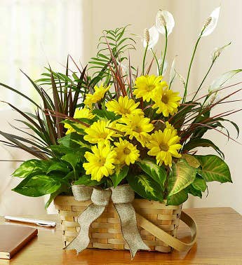 Dish Garden with Fresh Cut Flowers