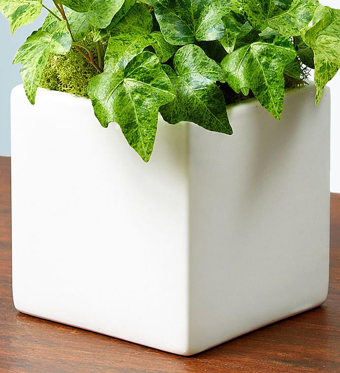 18948alt_view3_092717