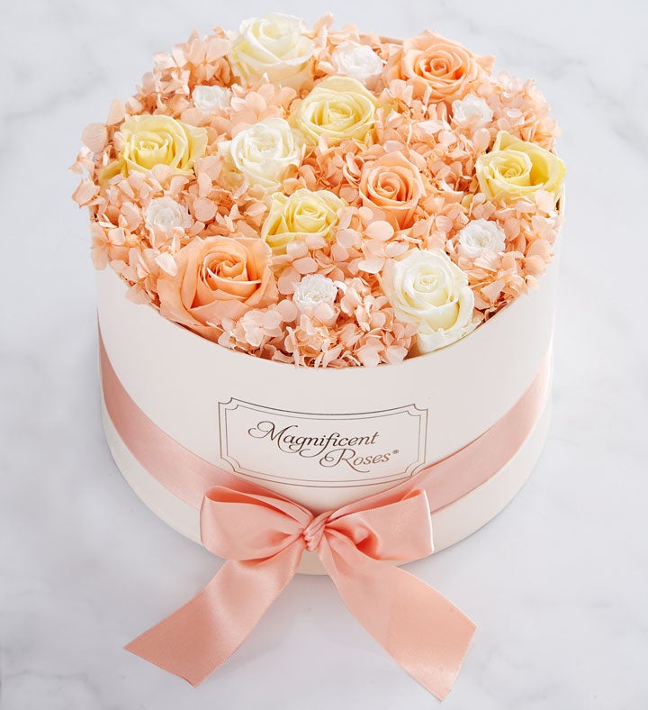 Magnificent Roses® Autumn Delight