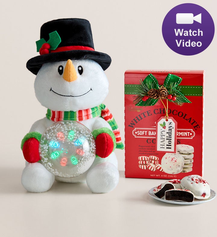 Animated Snowman Plush