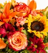 Fields of Europe® for Fall Basket