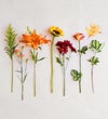 Fields of Europe® for Fall Basket