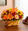 Fields of Europe® for Fall Basket