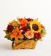 Fields of Europe® for Fall Basket