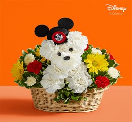 a-DOG-able® Disney Mickey Mouse