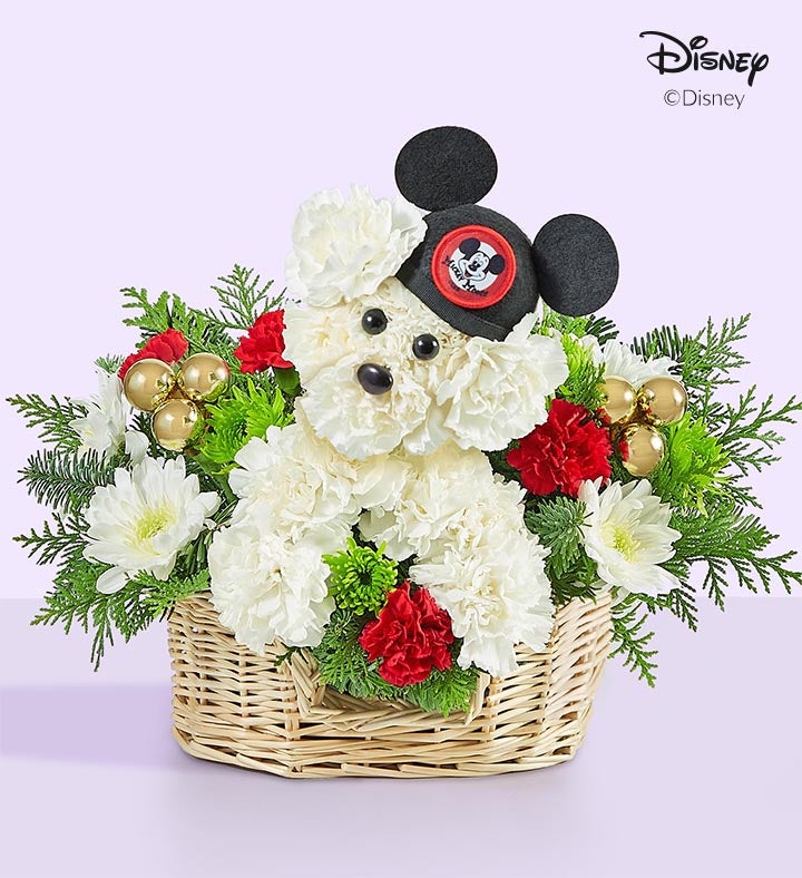 a-Dog-able® Disney Mickey Mouse for Holiday | 1800flowers.com