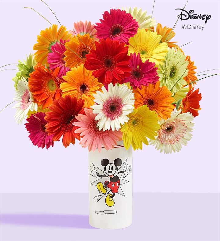 1-800-Flowers Flower Delivery Disney Mickey Mouse Vase W/ Assorted Gerbera Daisies