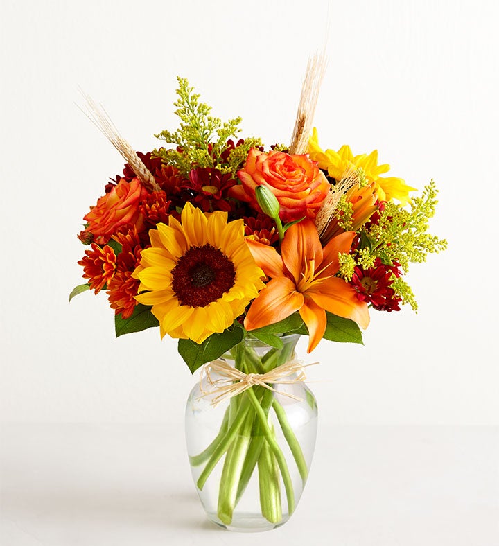Fields of Europe® for Fall