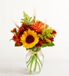 Fields of Europe® for Fall