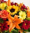 Fields of Europe® for Fall Centerpiece