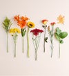 Fields of Europe® for Fall Centerpiece