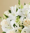 Classic All White Arrangement™ for Sympathy