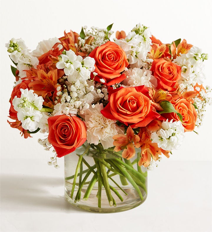 Flower Color Meaning | Significance of Flower Colors | Petal Talk