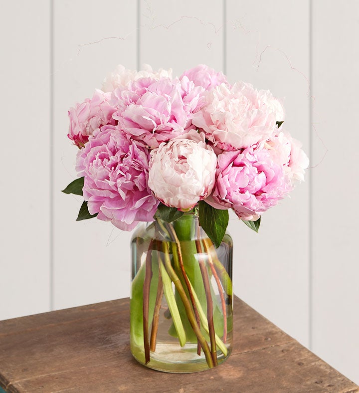 1-800-Flowers Flower Delivery Precious Peony Bouquet 10 Stems W/ Apothecary Jar