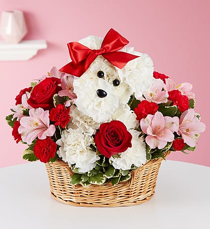 Arreglos Florales y Rosas para San Valentín | 1800Flowers
