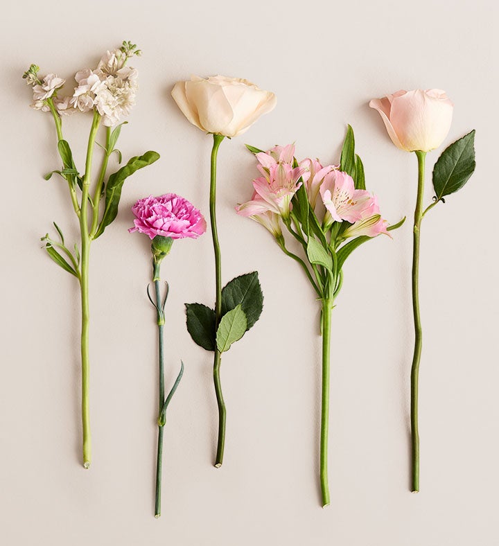 Splendid Spring™ Bouquet