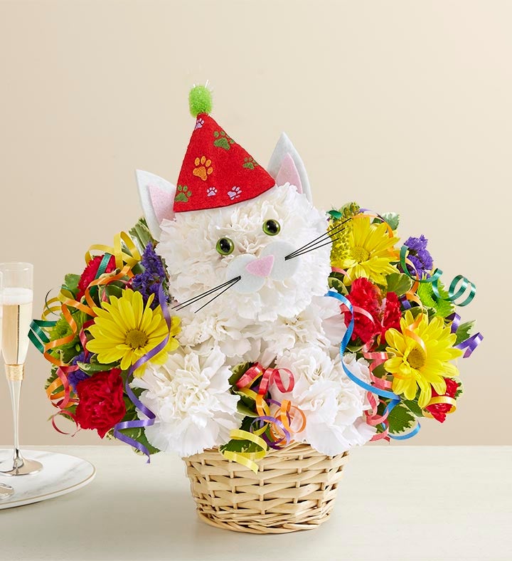 Cat shop flower basket