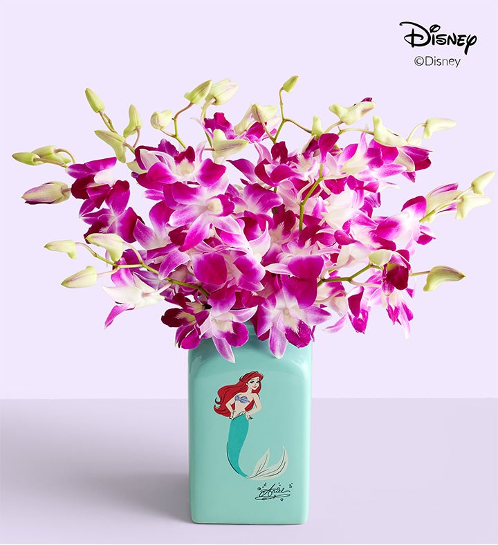 Disney's Ariel Ocean Splash Orchids