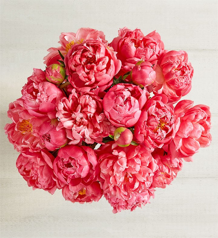 Charming Coral Peony Bouquet