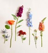 Harvest Blossom™ Bouquet