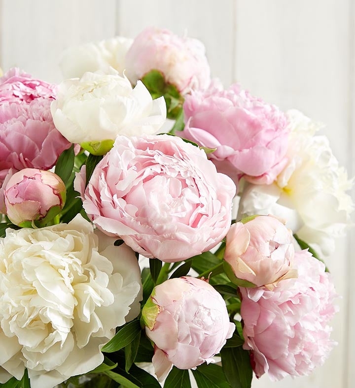 Spring Blossom Peony Bouquet