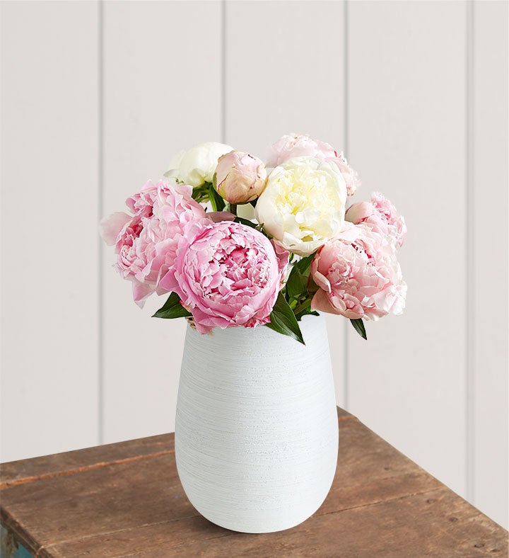 1-800-Flowers Flower Delivery Pink & White Peony Bouquet 10 Stems W/ White Ceramic Vase