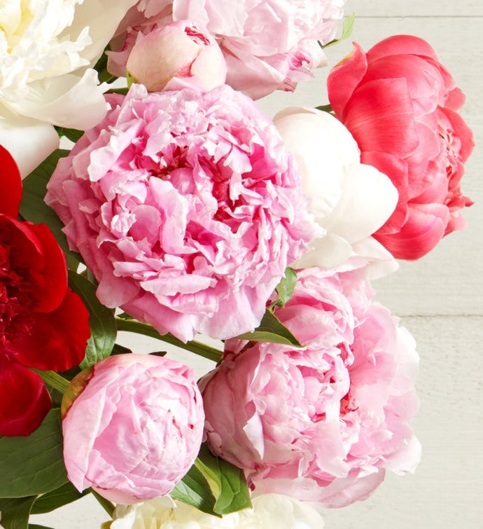 Grower’s Choice Peony Bouquet