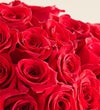 Contemporary Red Roses