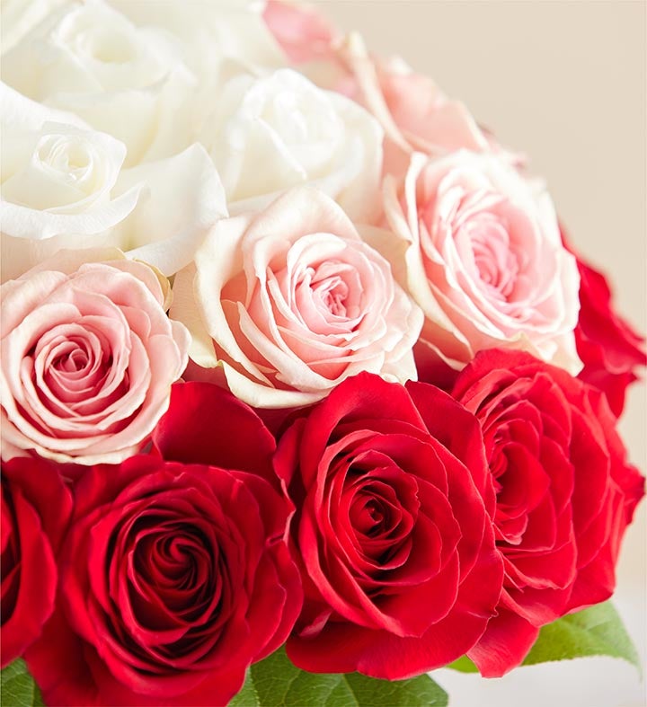 Contemporary Valentine's Red Rose Bouquet |1800Flowers