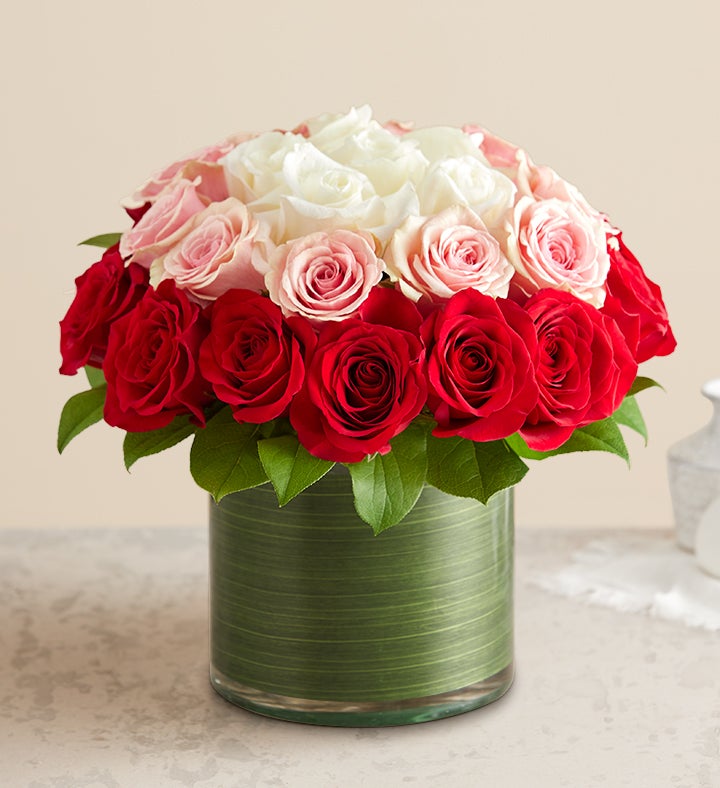 Ombre Roses | 1800Flowers.com.com | 1800Flowers.com