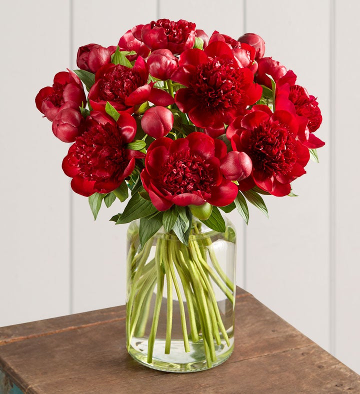 Scarlet Burst™ Peonies