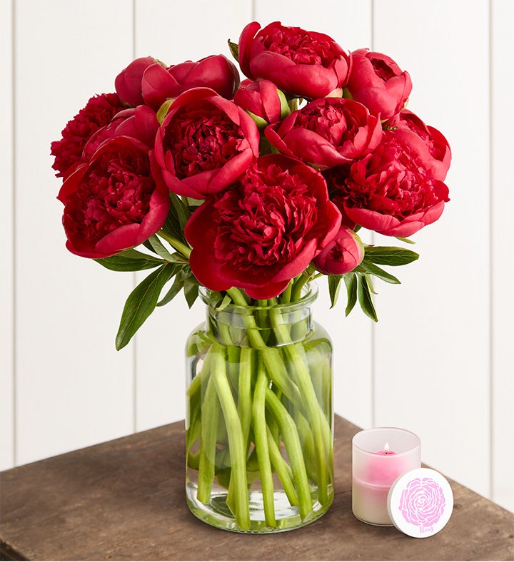 Scarlet Burst™ Peonies
