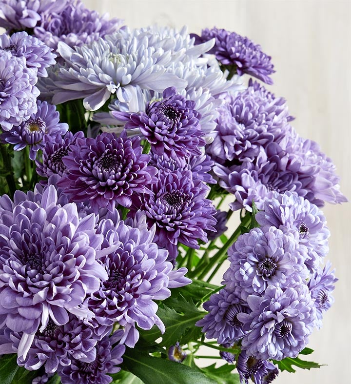 BluOcean™ Chrysanthemum Bouquet