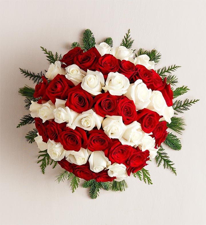 Candy Cane Swirl™ Roses | 1800Flowers.com